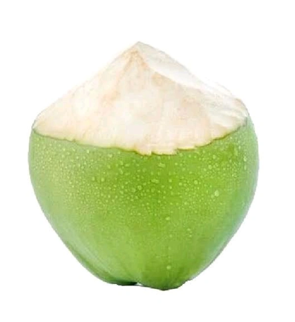 Tender Coconut (Shahale) - 1pcs - 1