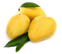 Mango (Aam) - 500gm