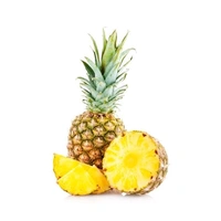 Pineapple (Ananas) - 1pcs