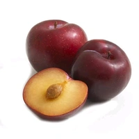 Plum (Alu Bukhara) – 500gm