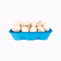 Button Mushroom (Alimbi) - 200gm - 200gm