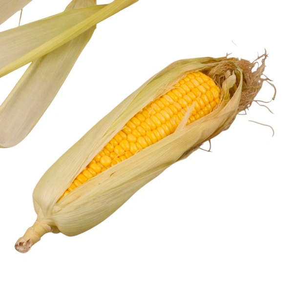 Corn Cob (Makkyache Kanis) - 1.Pc