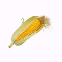 Corn Cob (Makkyache Kanis) - 1.Pc