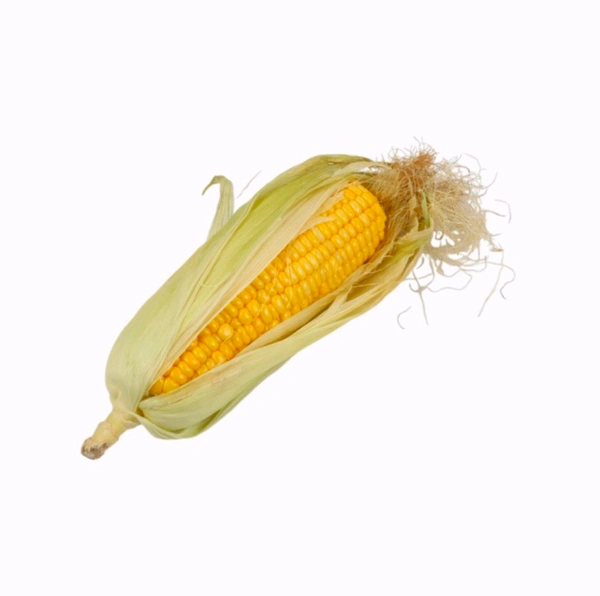 Corn Cob (Makkyache Kanis) - 1.Pc