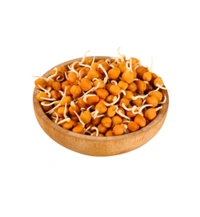 Brown Chana Sprouts (Matki) - 150-160 g