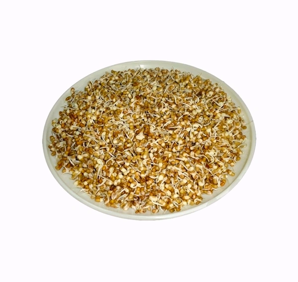 Matki Sprouts - 200g