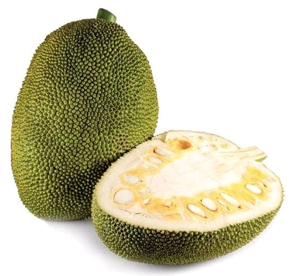 Raw Jackfruit (Fanas) - 1 Kg - 1