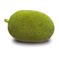Raw Jackfruit (Fanas) - 1 Kg - 1
