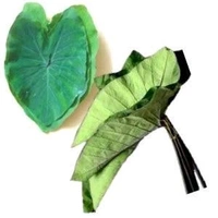 Colocasia Leaves (Alu Pan)  - 1pc