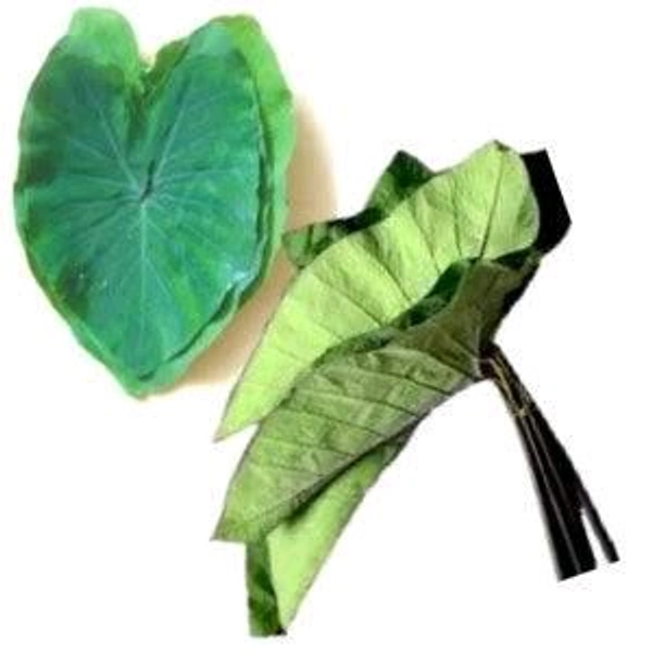 Colocasia Leaves (Alu Pan)  - 1pc