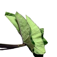 Colocasia Leaves (Alu Pan)  - 1pc