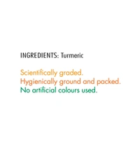 Everest Turmeric Powder/Haldi (100g) - 100g