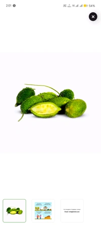 Spine Gourd (Kantola)  - 250g