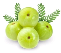 Amala (Aavala) - 250g