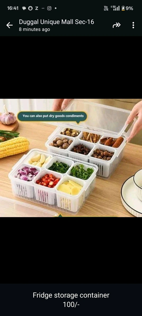 Freeze Storage Container