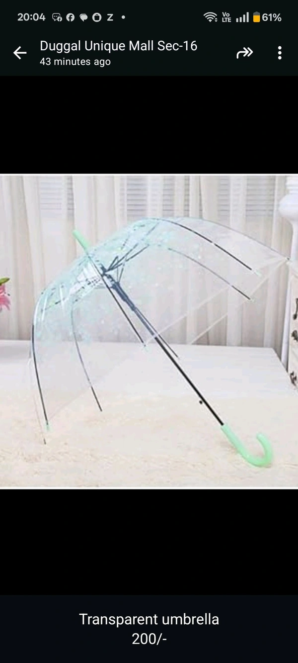 Big Transparent Umbrella 