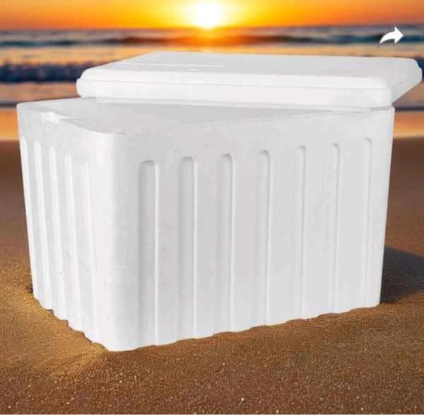 Thermocol Ice Box 25 Ltr