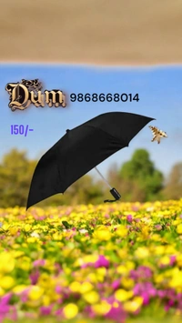 Umbrella Big