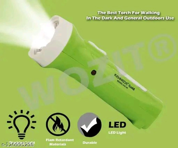 Torch Roch Light