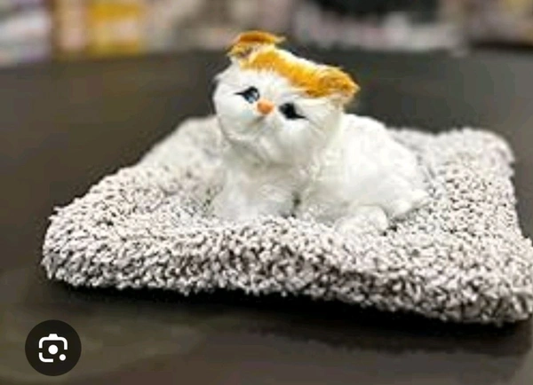 Cute Mat Cat 