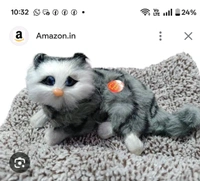 Cute Mat Cat 