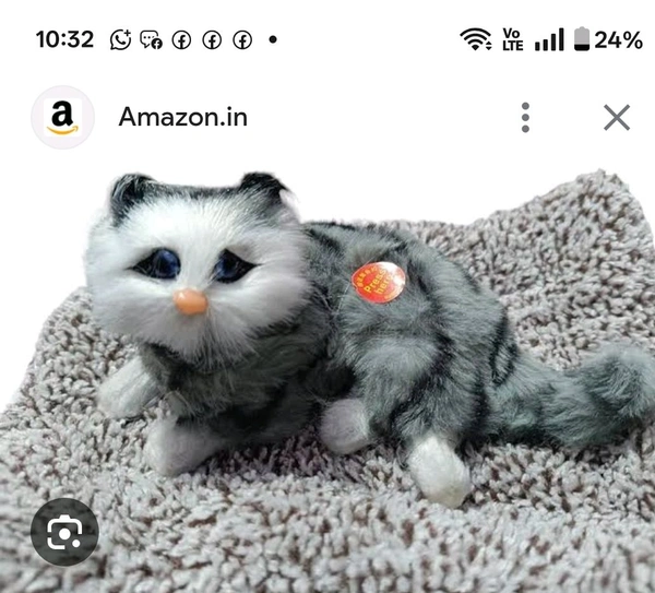 Cute Mat Cat 