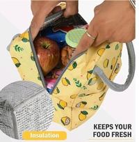 Big Insulated Lunch Foil Bag