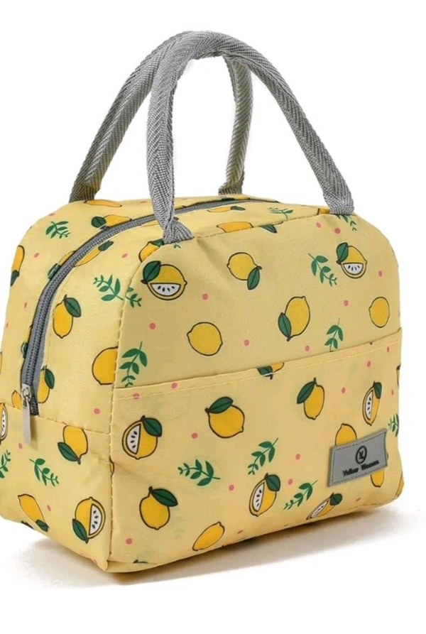 Big Insulated Lunch Foil Bag