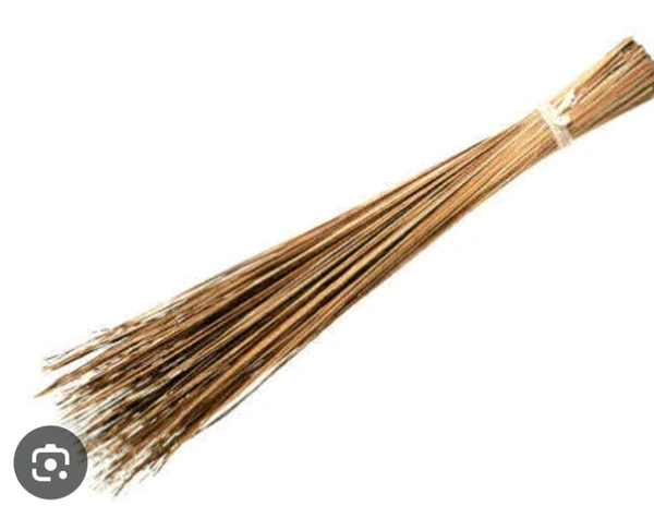 Tilli Broom