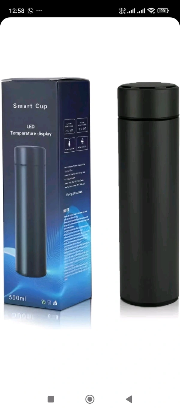 Temperature LED Bottle