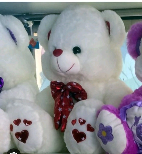 Teddy Doll Soft Toy