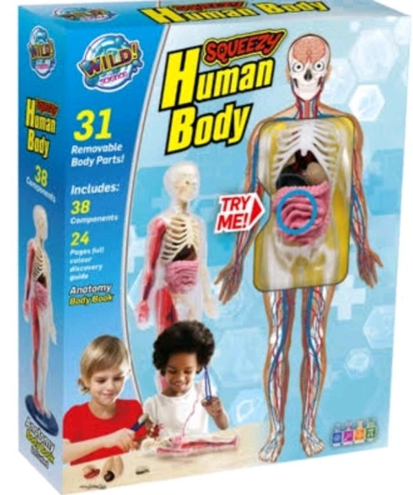 Human Body Game