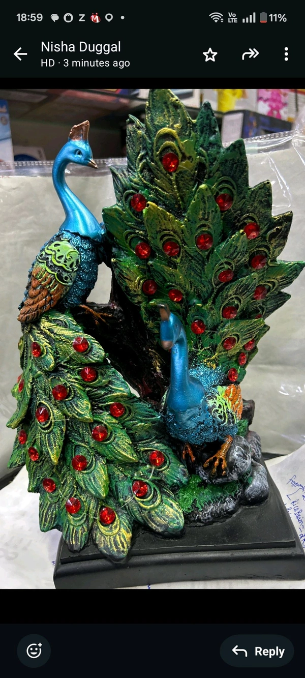मोर Peacock Set