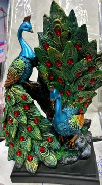 मोर Peacock Set