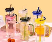 Glass Sipper ( High Borosil Glass  ) 