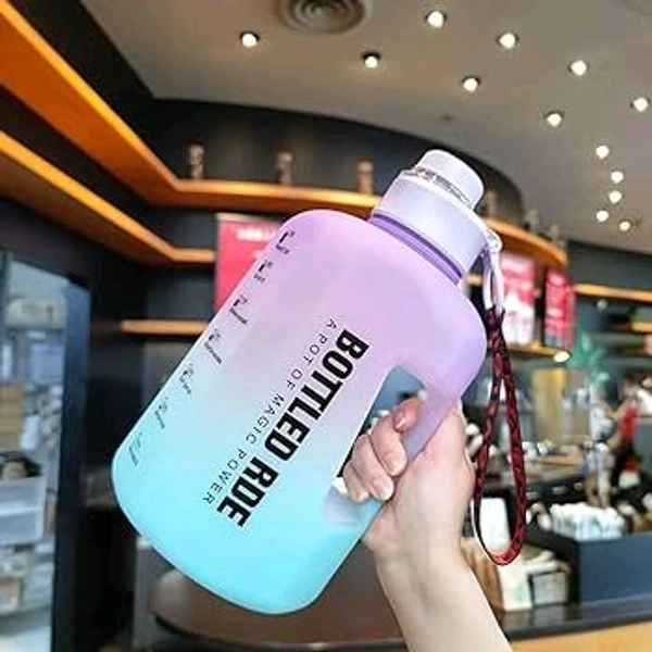 Gym  Sports Water Bottle