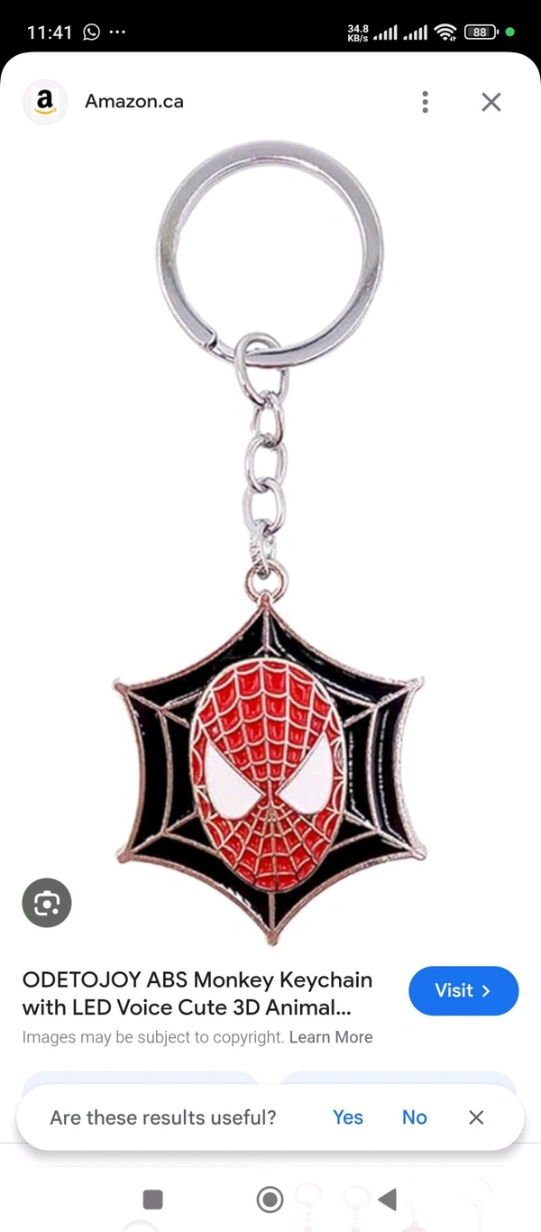 Spider Mam Key Chain