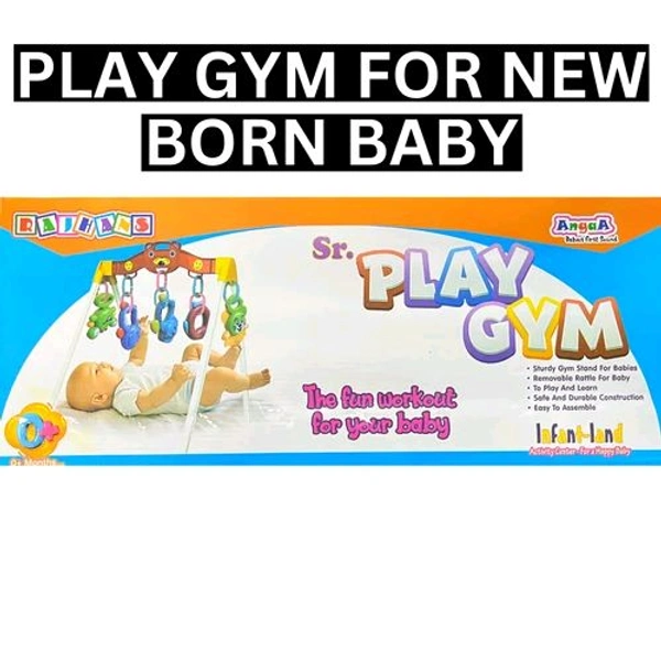 Sr. Play GYM