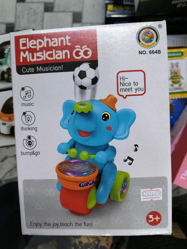 Elephant Musician