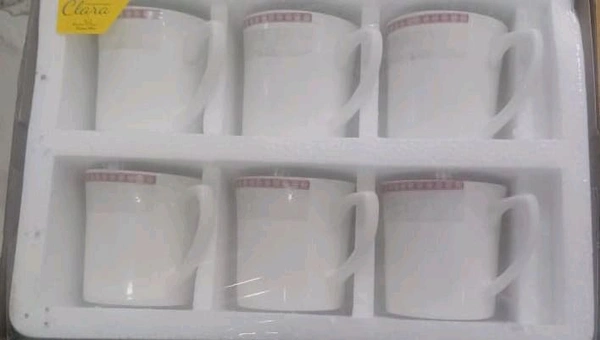 Printed Border Cup