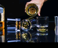 Lion Glass Set Of 6 Pcs