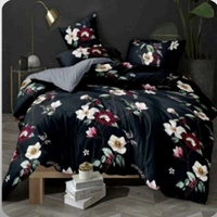 Ignis-S/B - All Size, All Color