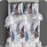 Brezza-D/B - All Size, All Color