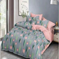 Ameo-D/B - All Size, All Color