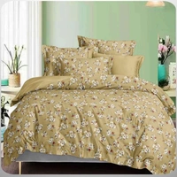 Pristine-Book  Fold-D/B