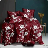 Ignis-S/B - All Size, All Color