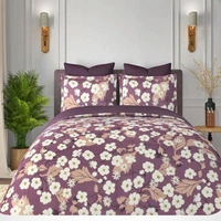 SeItos-(70X100) 1+2 - 