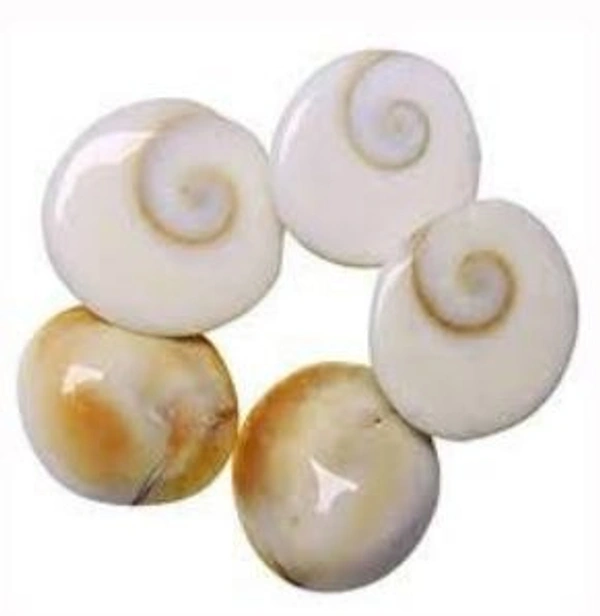 Gomti Chakkar ( mix) - Gomti Chakkar