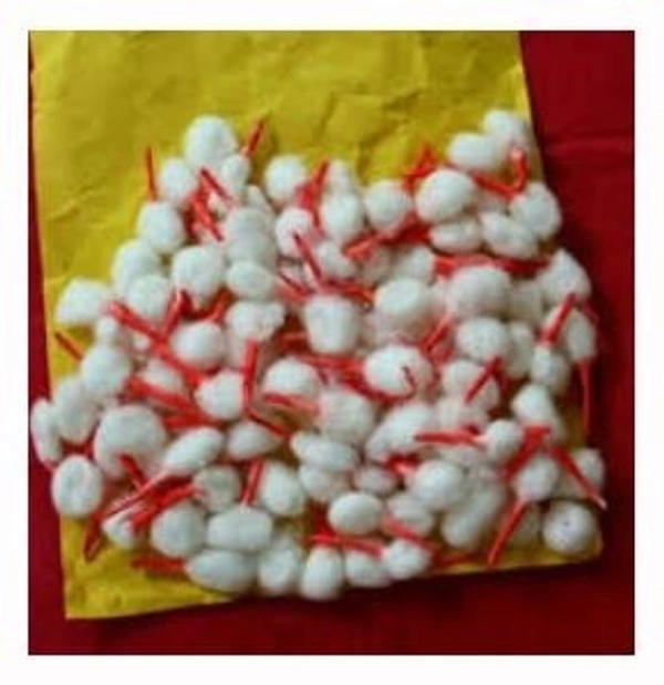 Rui batti (Kesar) - Gol