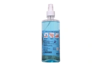 HAND SANITIZER WITH SPARY PUMP - 500 ML